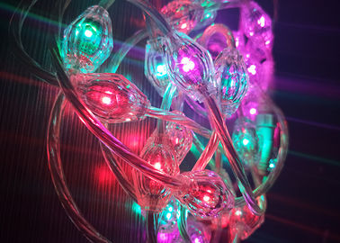 O policarbonato que abriga a cortina do RGB ilumina a economia de energia da baixa tensão de DC12V