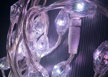 O policarbonato que abriga a cortina do RGB ilumina a economia de energia da baixa tensão de DC12V