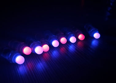 A cor de luzes de suspensão segura do pixel do diodo emissor de luz de IP65 RGB que muda 12DC entrou a baixa tensão