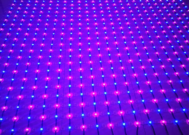 Tela de malha interna do diodo emissor de luz do PVC do brilho alto de luzes feericamente da malha da rede do diodo emissor de luz da cor completa
